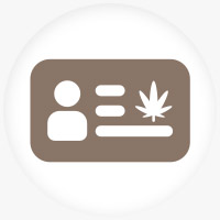 Medical Marijuana Lawyer Website Service